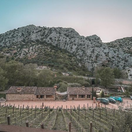 Eco Hotel Cueva Del Gato Benaojan Ngoại thất bức ảnh