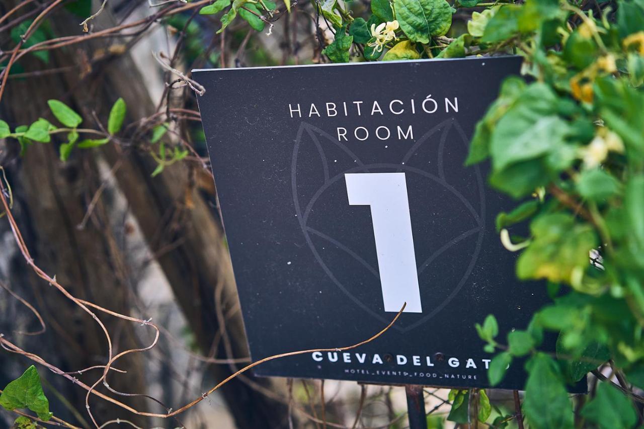 Eco Hotel Cueva Del Gato Benaojan Ngoại thất bức ảnh