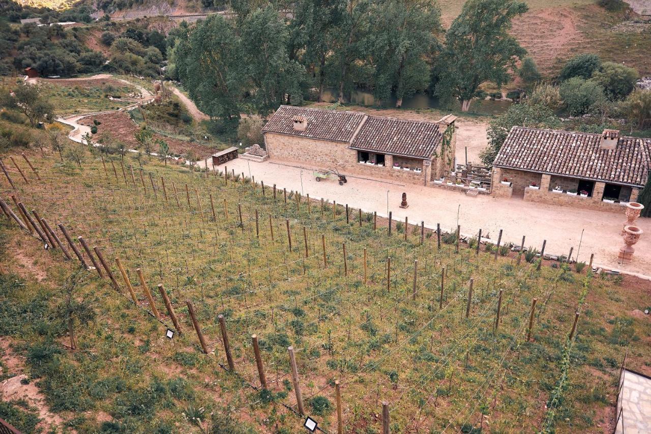 Eco Hotel Cueva Del Gato Benaojan Ngoại thất bức ảnh